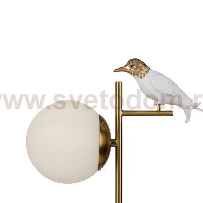 Настольный светильник Freya FR5210TL-01G