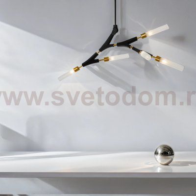 Потолочный светильник Freya FR5213PL-05B