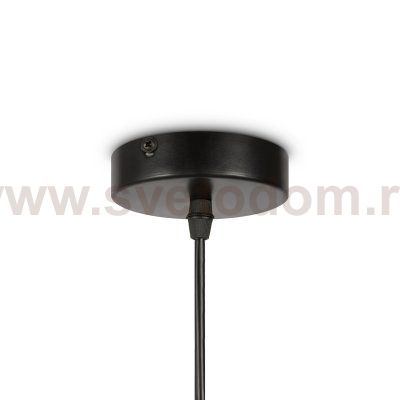 Подвесной светильник Freya FR5249PL-03BG AvaGarden 