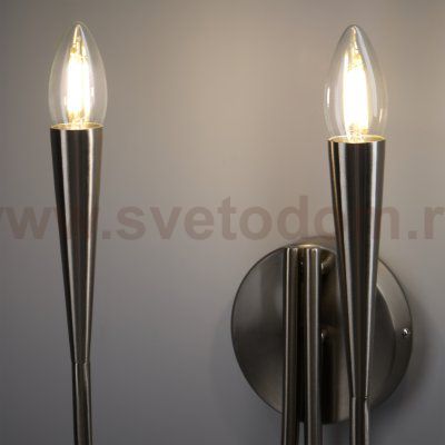 Настенный светильник (бра) Freya FR5253WL-02N Branches 
