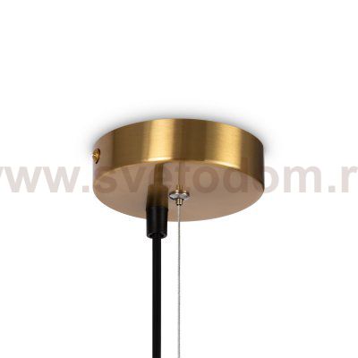 Подвесной светильник Freya FR5259PL-06BS Blossom