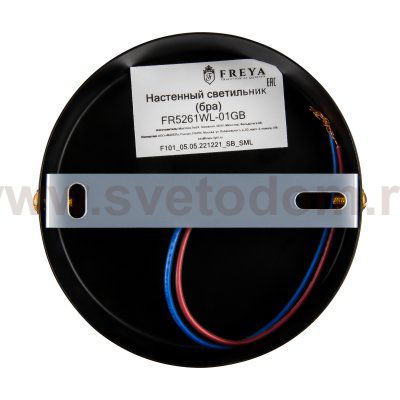 Настенный светильник (бра) Freya FR5261WL-01GB
