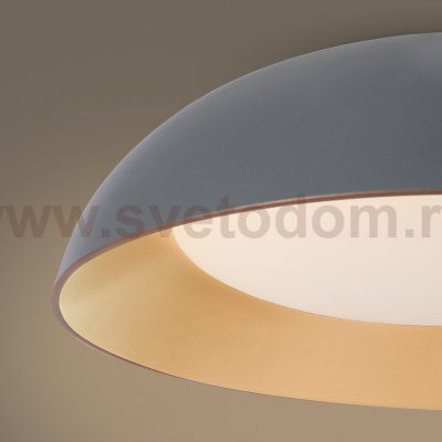 Потолочный светильник Freya FR5277CL-L72GR