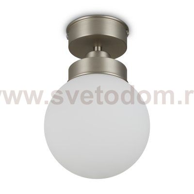 Потолочный светильник Freya FR5339CL-01N