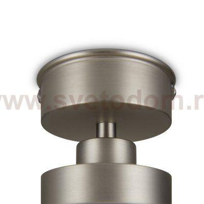Потолочный светильник Freya FR5339CL-01N