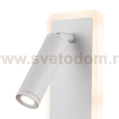 Настенный светильник (бра) Freya FR5345WL-L3W