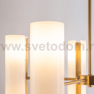 Потолочный светильник Freya FR5368CL-10BS Fiore