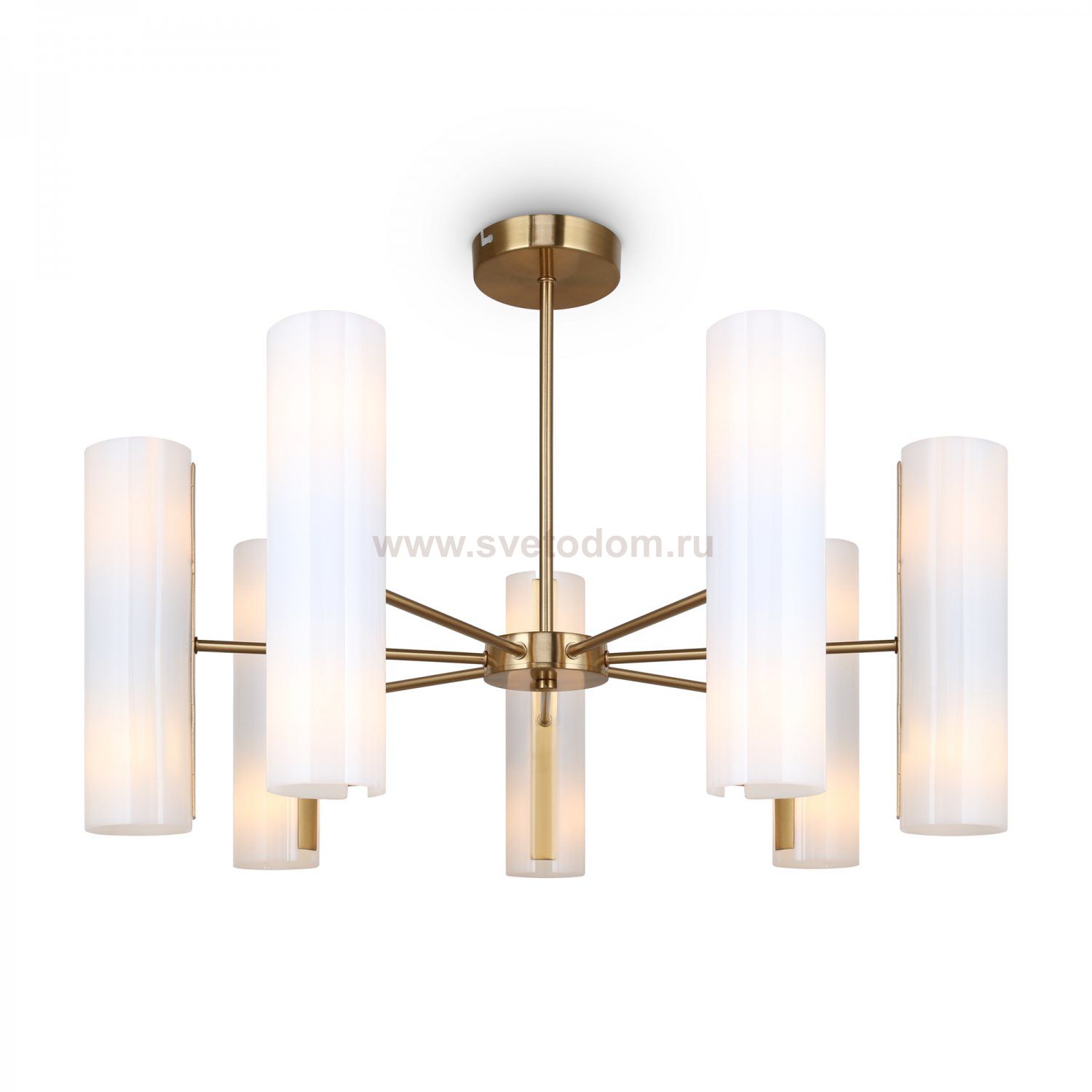 Потолочный светильник Freya FR5368CL-14BS Fiore