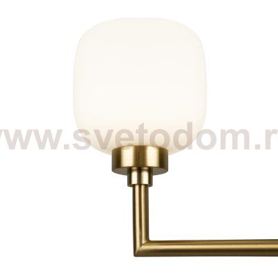 Потолочный светильник Freya FR5373CL-06BS Tender