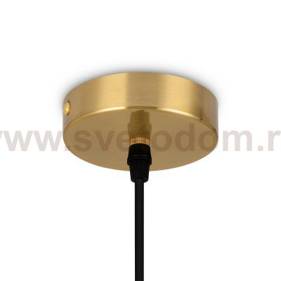 Подвесной светильник Freya FR5387PL-L14BS Pina