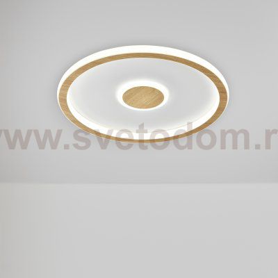 Потолочный светильник Freya FR5421CL-L80BG