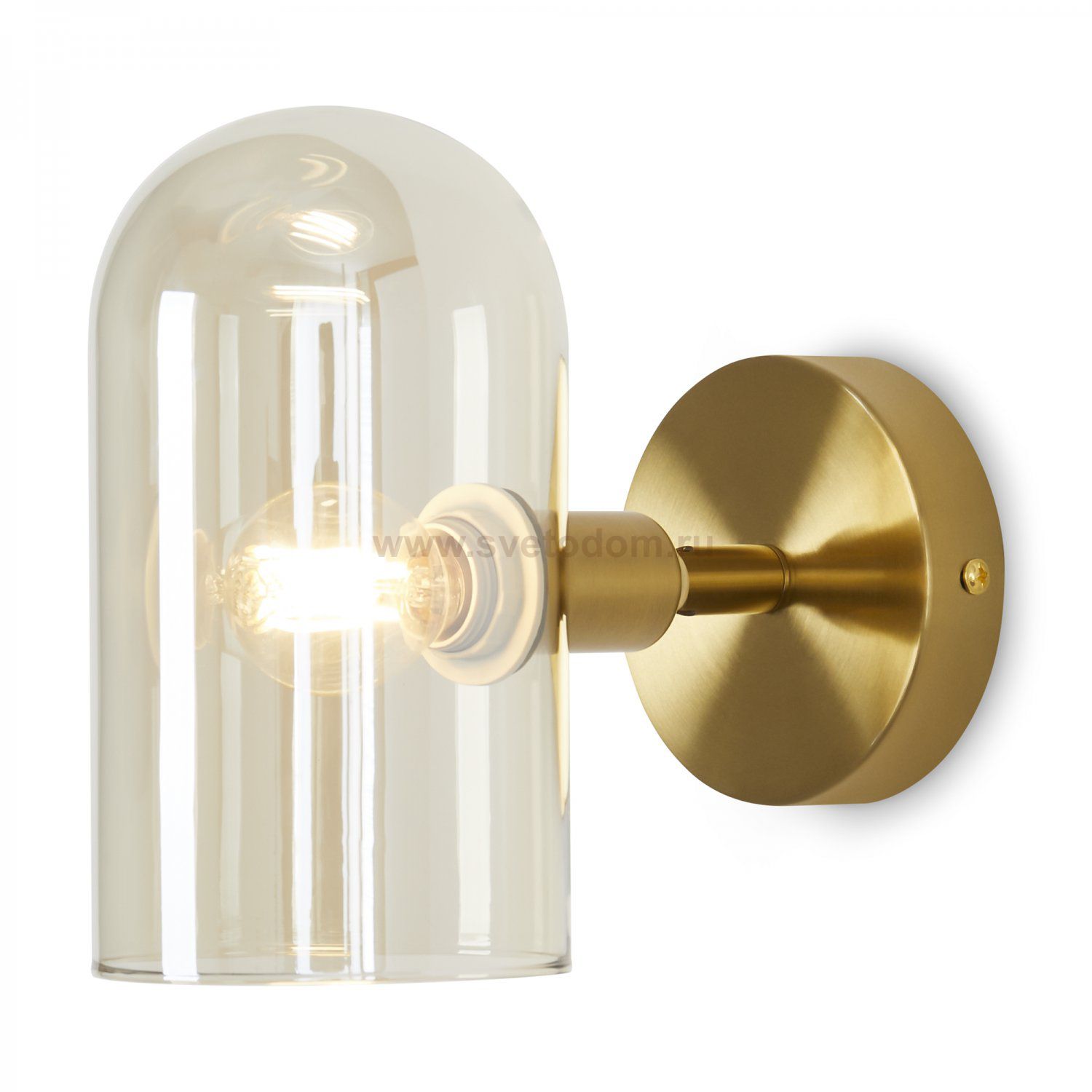 Настенный светильник (бра) Freya FR5427WL-01BS Firefly