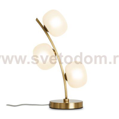 Настольный светильник Freya FR5444TL-03BS Donuts