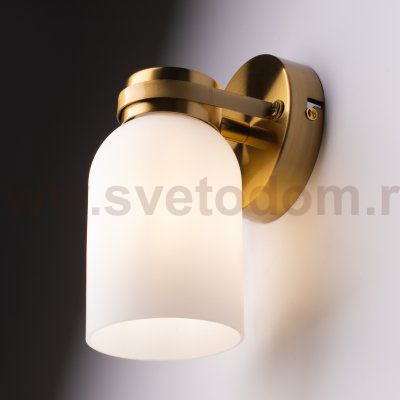 Настенный светильник (бра) Freya FR5446WL-01BS Kamelia