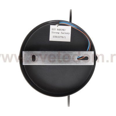 Настенный светильник (бра) Freya FR5513WL-01BBZ