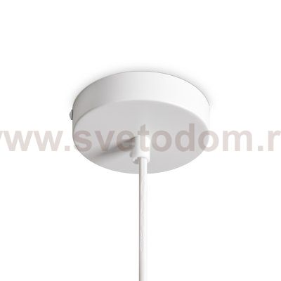 Подвесной светильник Freya FR5517PL-01W