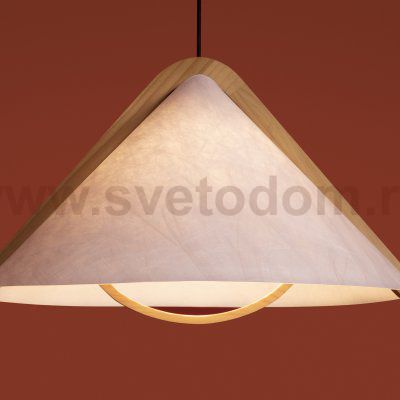 Потолочный светильник Freya FR5554CL-01T