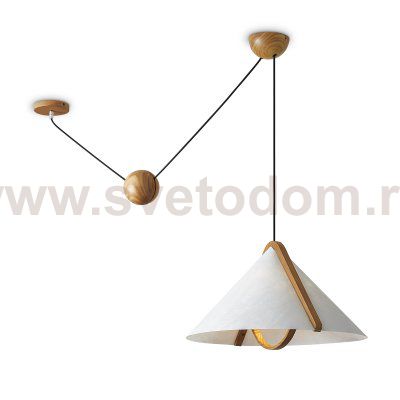 Потолочный светильник Freya FR5554CL-01T