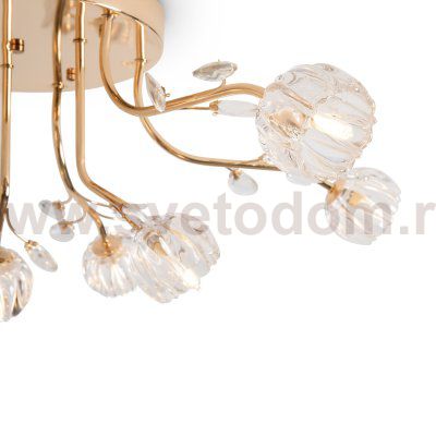 Люстра Freya FR5571CL-09G