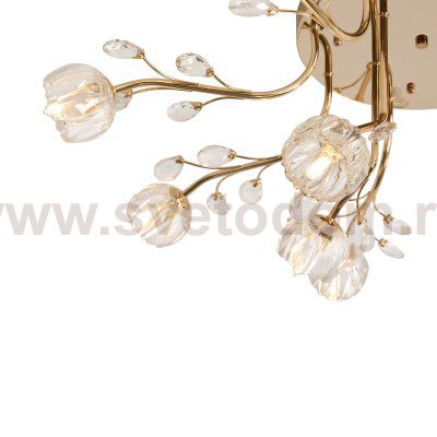 Люстра Freya FR5571CL-12G