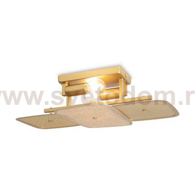 Потолочный светильник Freya FR5572CL-02G