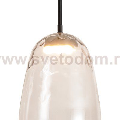 Подвесной светильник Freya FR5586PL-01B