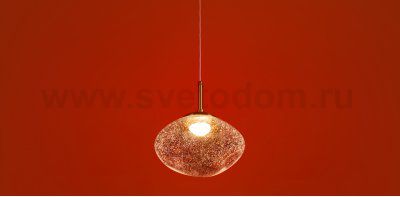Подвесной светильник Freya FR5601PL-01TR