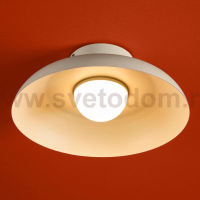 Потолочный светильник Freya FR5602CL-L10W