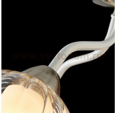 Потолочный светильник Freya FR5604-CL-05-CH Clara