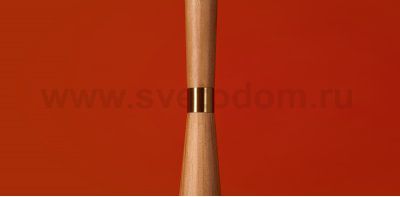 Напольный светильник (торшер) Freya FR5626FL-01T