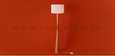 Напольный светильник (торшер) Freya FR5626FL-01T