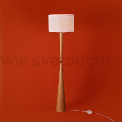 Напольный светильник (торшер) Freya FR5626FL-01T