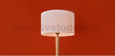 Напольный светильник (торшер) Freya FR5626FL-01T