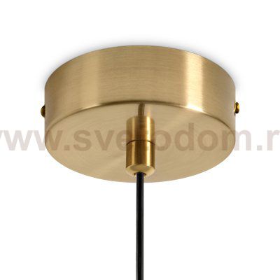 Подвесной светильник Freya FR5631PL-01BS