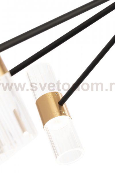 Потолочный светильник Freya FR6038CL-L80B Mia