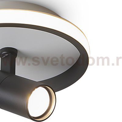 Потолочный светильник Freya FR6040CL-L14B