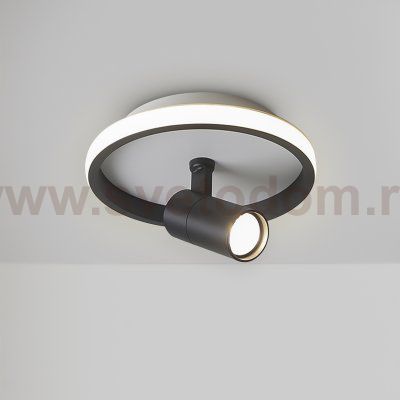 Потолочный светильник Freya FR6040CL-L14B