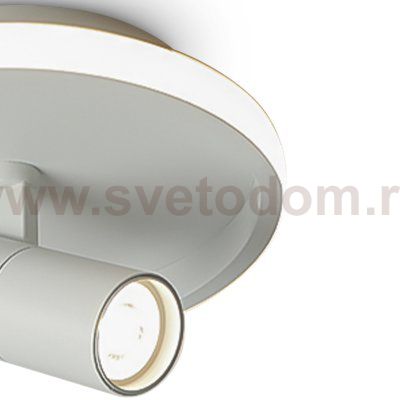 Потолочный светильник Freya FR6040CL-L14W