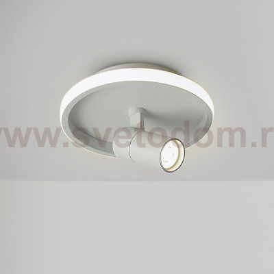 Потолочный светильник Freya FR6040CL-L14W