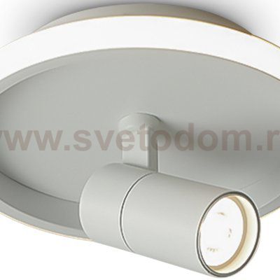 Потолочный светильник Freya FR6040CL-L14W