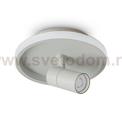 Потолочный светильник Freya FR6040CL-L14W