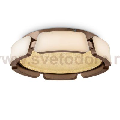 Потолочный светильник Freya FR6041CL-L92W Ethan