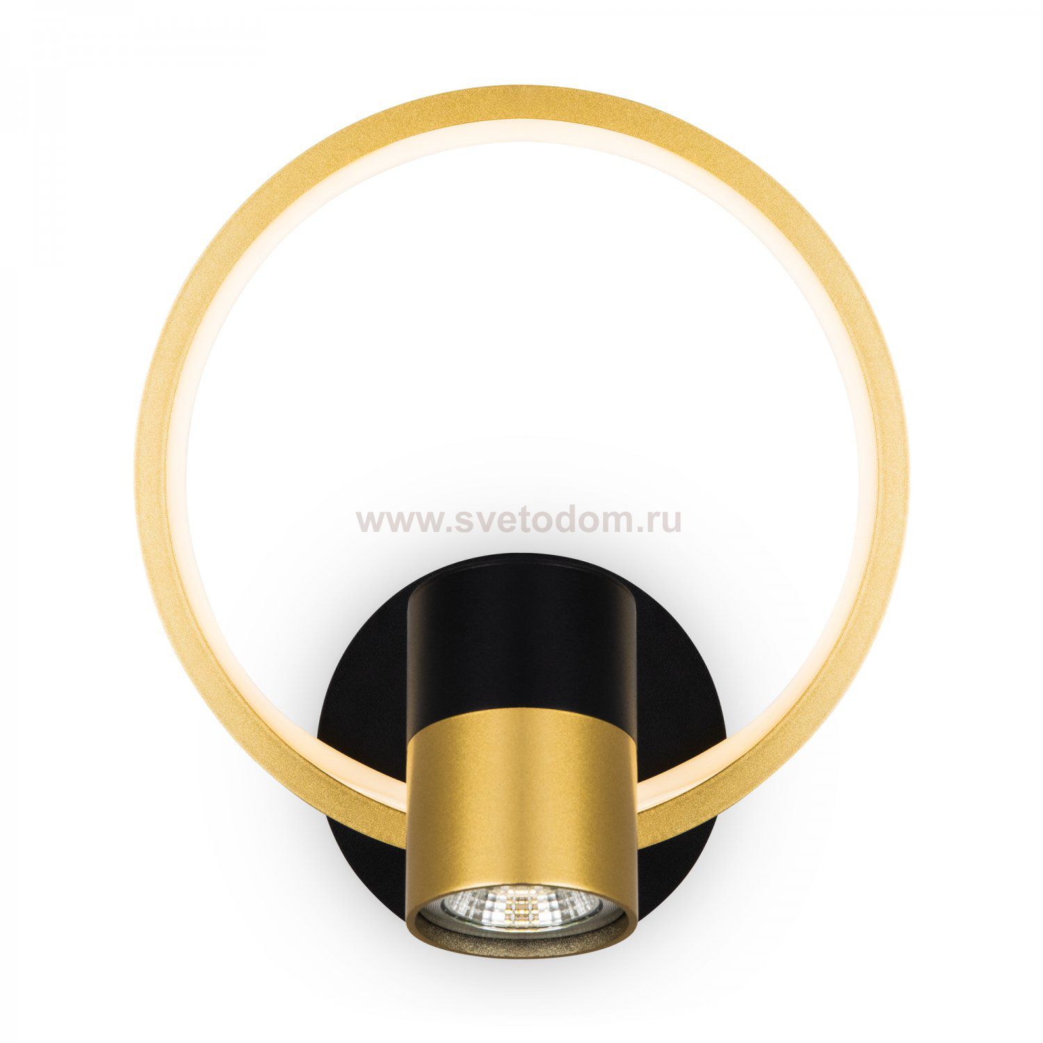 Настенный светильник (бра) Freya FR6074WL-L12GB