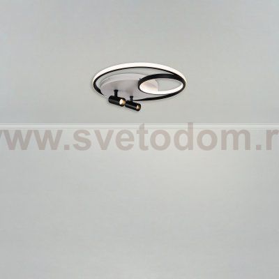 Потолочный светильник Freya FR6083CL-L90WB