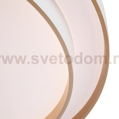 Потолочный светильник Freya FR6085CL-L72WG