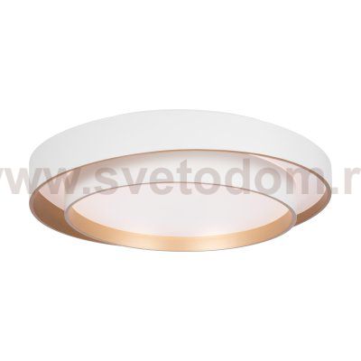 Потолочный светильник Freya FR6085CL-L72WG