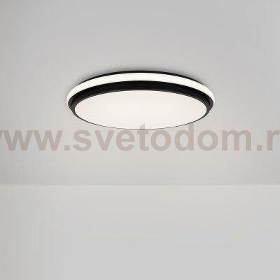 Потолочный светильник Freya FR6086CL-L117B
