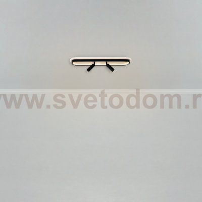 Потолочный светильник Freya FR6088CL-L48B