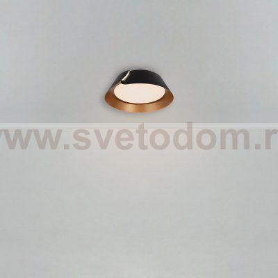 Потолочный светильник Freya FR6092CL-L72GB