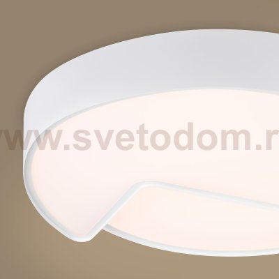 Потолочный светильник Freya FR6093CL-L48W